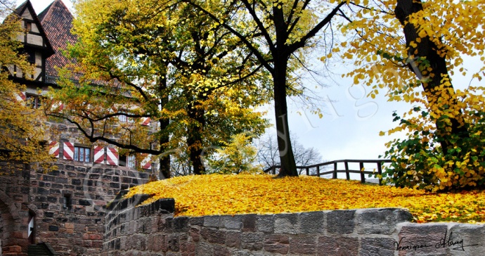 Autumn Carpet - Nuremburg