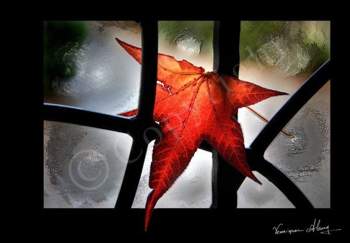 Autumn Gift