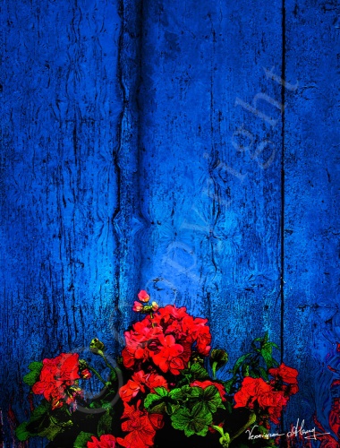 Blue Magic