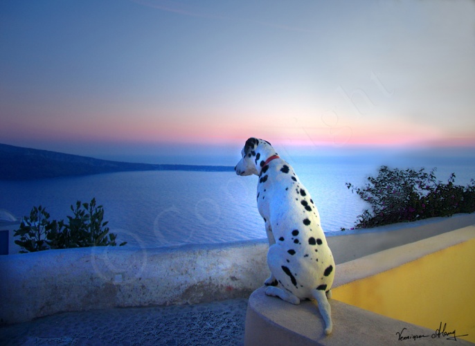 Quiet Contemplation