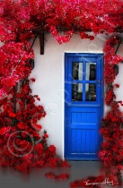 A Door Within