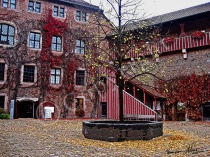 Flecks of Autumn Gold - Nuremburg