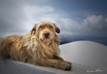 My Lookout