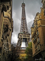 Towering Beauty