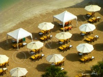 Umbrella Siesta - 1